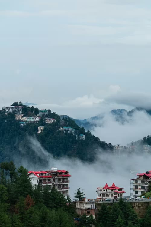 Shimla tour package